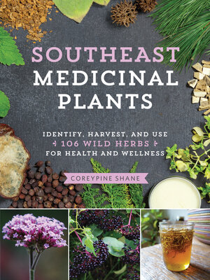 cover image of Southeast Medicinal Plants